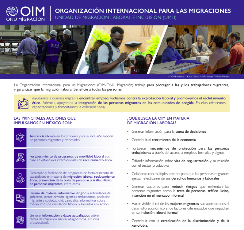 Hoja Informativa UMLI