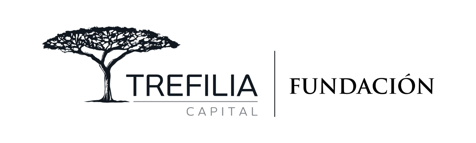 Fundaci&oacute;n Trefilia